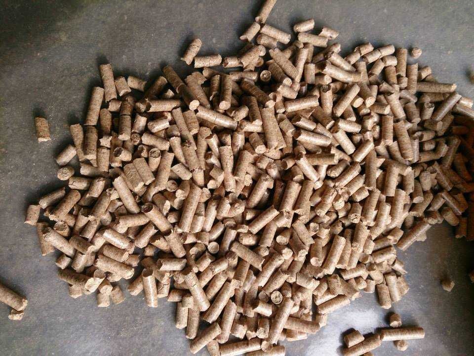 Pellet pelet wysoka jakość szybka dostawa