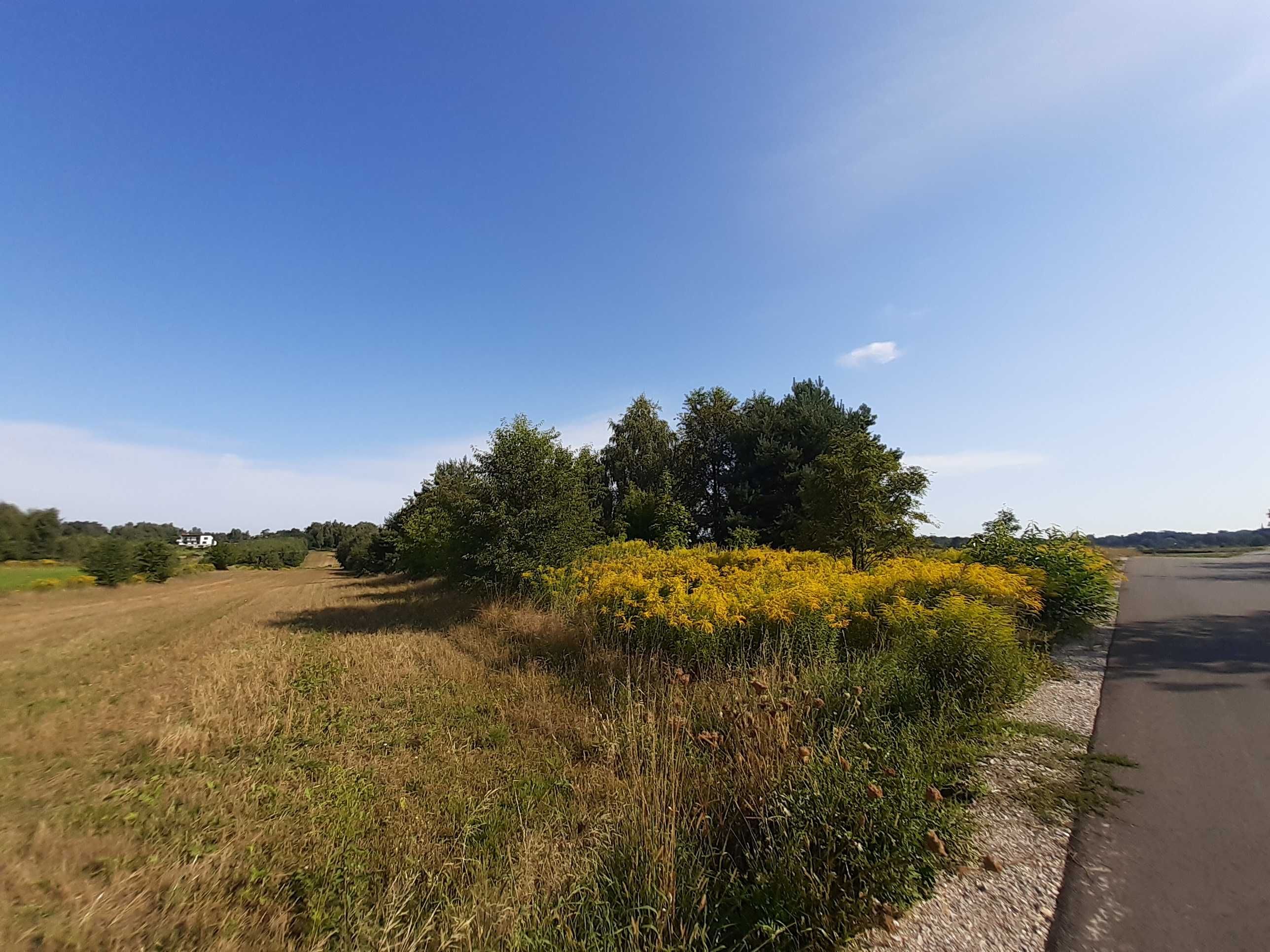 Sprzedam działkę rolną 5267 m2 w Kiełminie niedaleko Łodzi