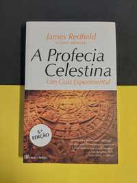 James Redfield - A Profecia Celestina: um guia experimental