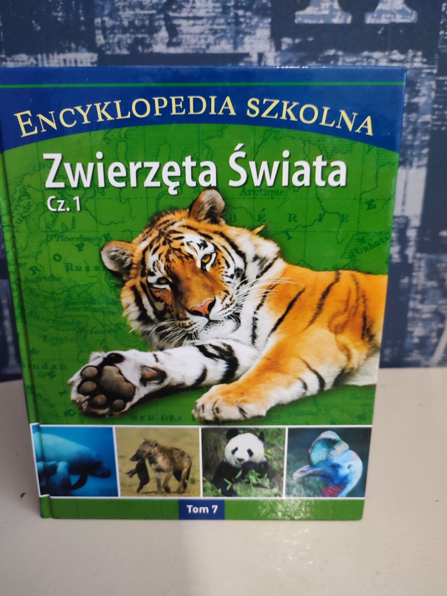 Encyklopedia Szkolna 13 tomów