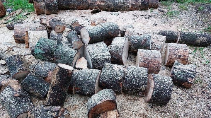 Piła Spalinowa Pilarka Łańcuchowa Do Drewna 2x Łańcuch 2x Prowadnica 2