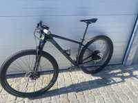 Scott scale 920 carbono