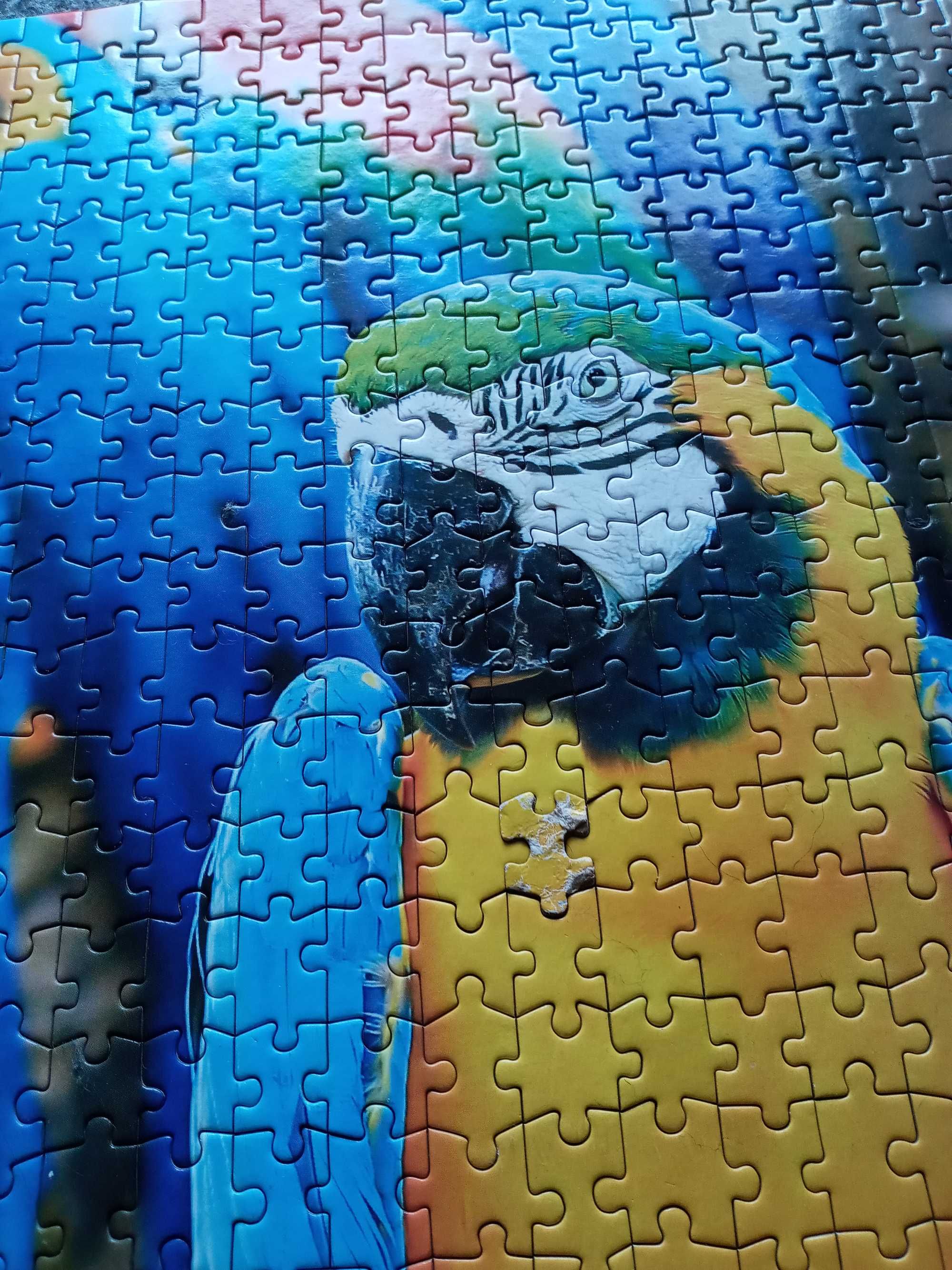 Puzzle 1000 papugi