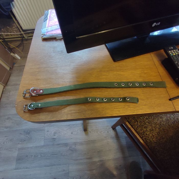 Ошейник для песика