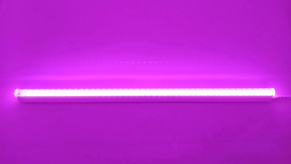 Фітолампа для рослин та розсади