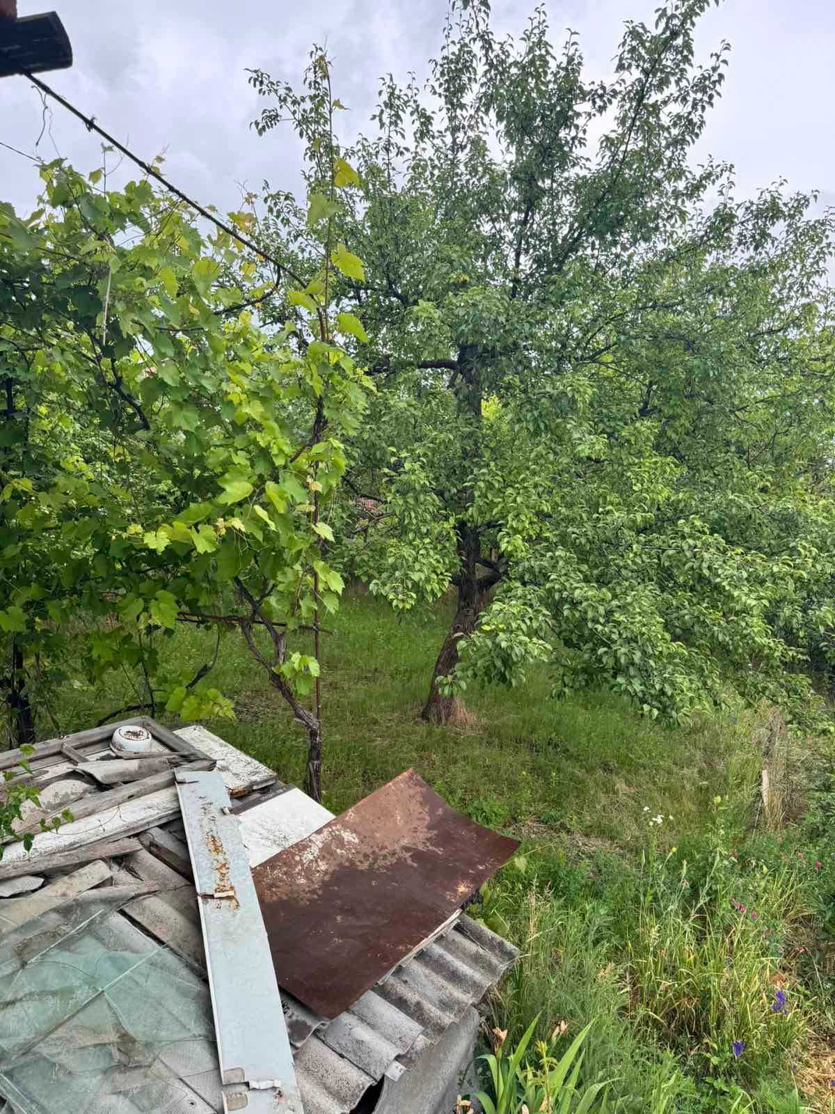 Продам дачу р-н Новомиколаївка (Солдатські ставки), СТ КОЛОС