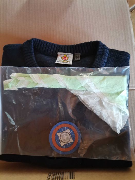 Insígnia Distintivo Emblema Circular azul oficial Escuteiros CNE