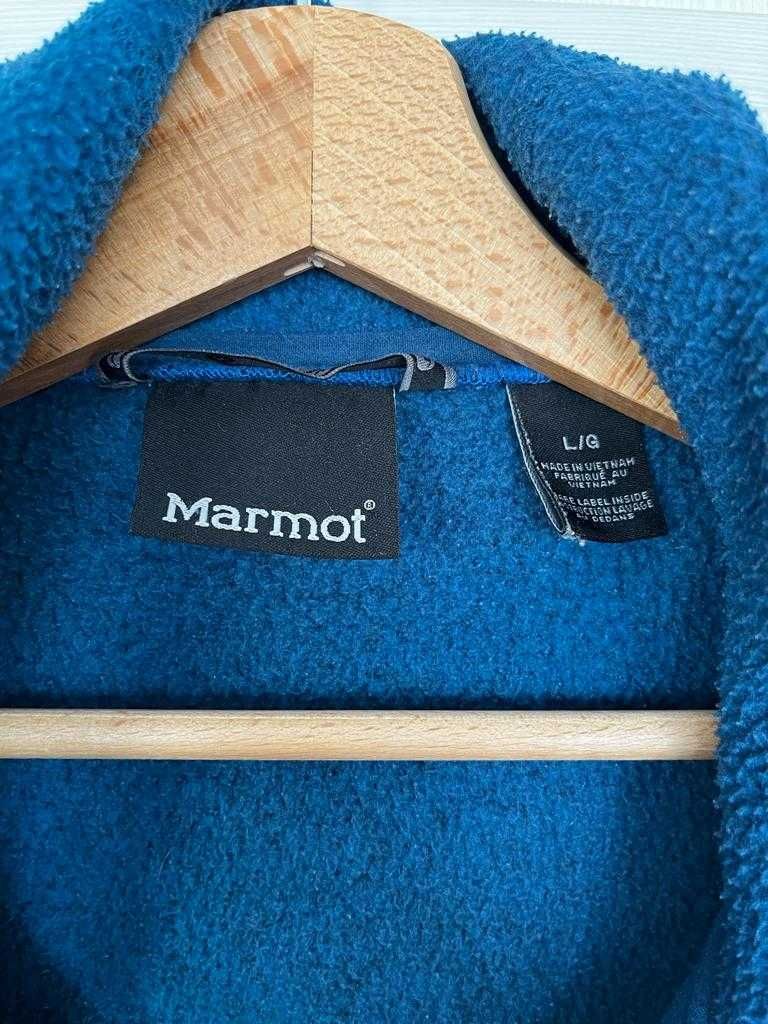 Polar Marmot niebieski