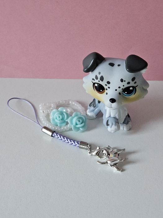 Collie piesek z dodatkami+ gratis  breloczek  z pieskiem