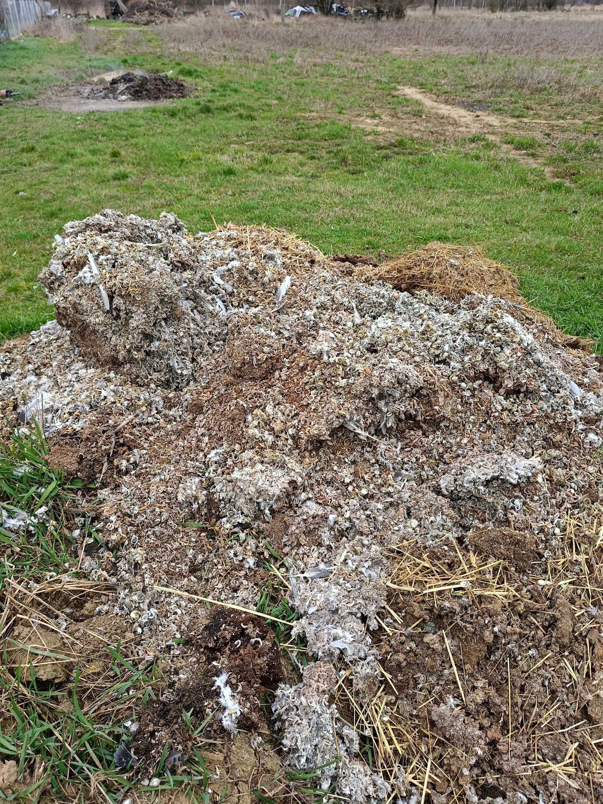 Obornik Gołębi  naturalny nawóz