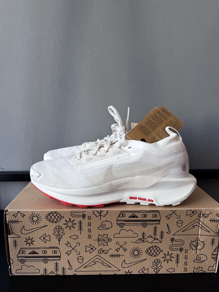 Кросівки Nike Pegasus trail 40p
