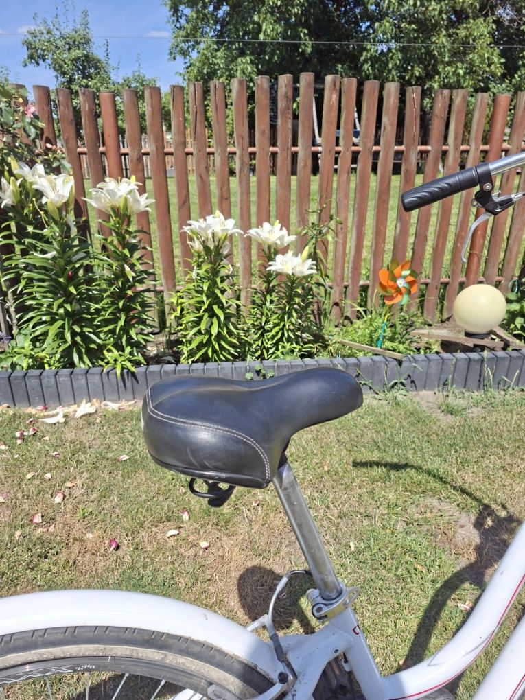 Rower miejski NIRVANA artemis 26"