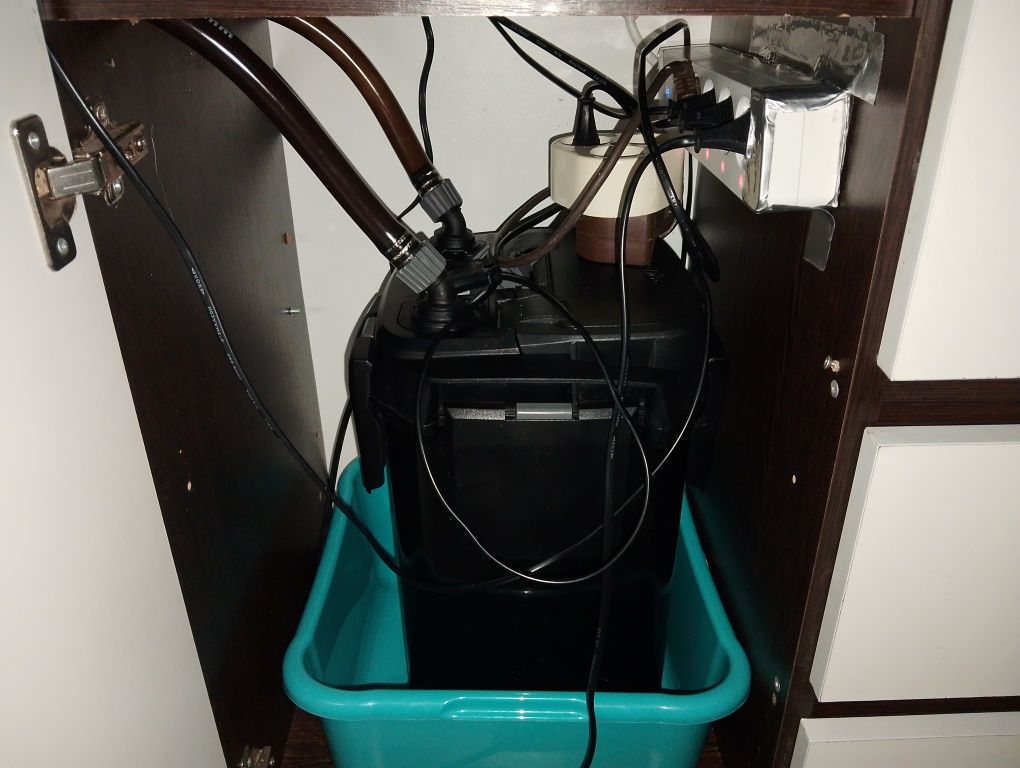 Sprzedam akwarium 240l z obsada