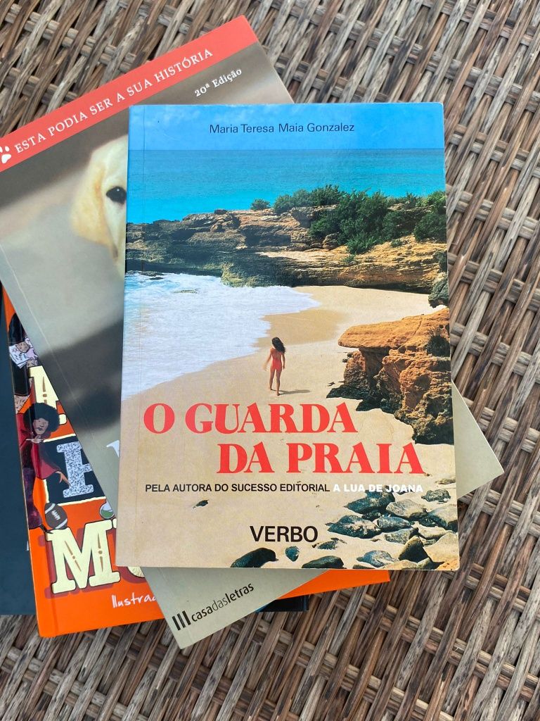 O guarda da praia - Maria Teresa Maia Gonzalez