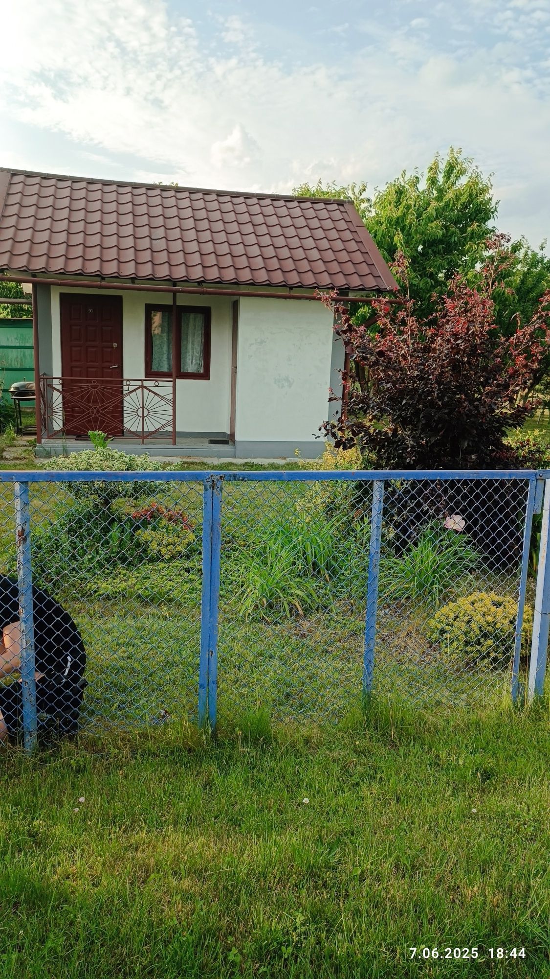 Działka  rekreacyjna stokrotka Dębica