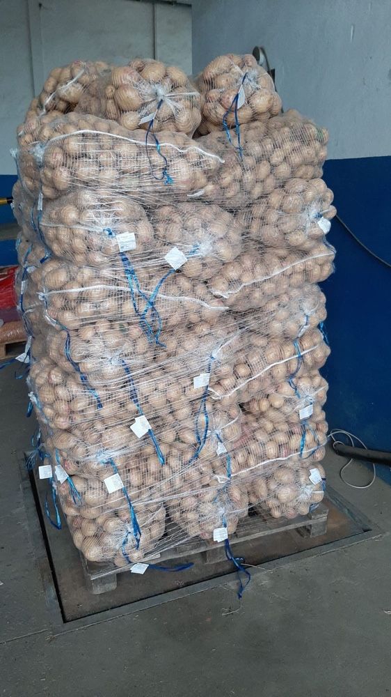 Batata de conservacão , saco 20 kg