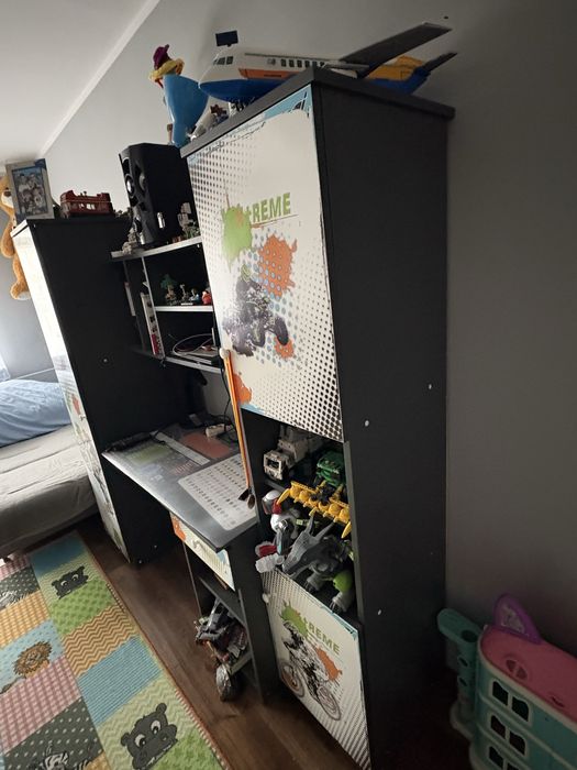 Mebloscianka chlopieca