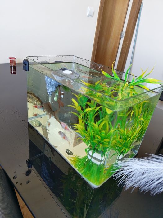 Aquario 20 litros