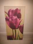Obraz tulipany 40/80cm.