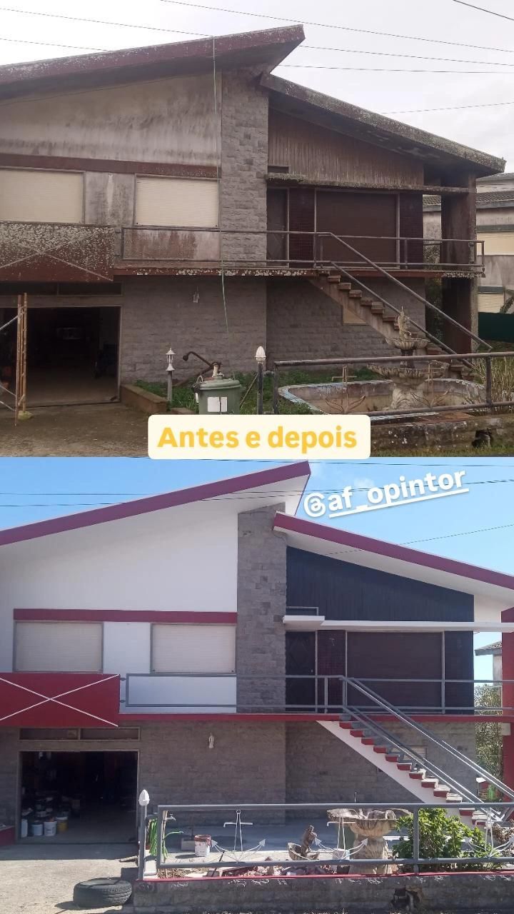 Pintor Profissional