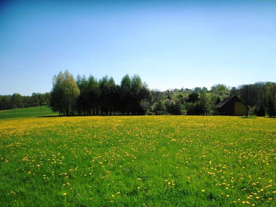 Prywatnie dobra lokata kapitału