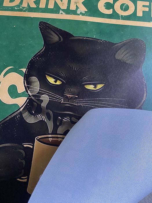 Obrazek na płótnie HD/Abstraction, Funny Motivation Cat’s (40x50)