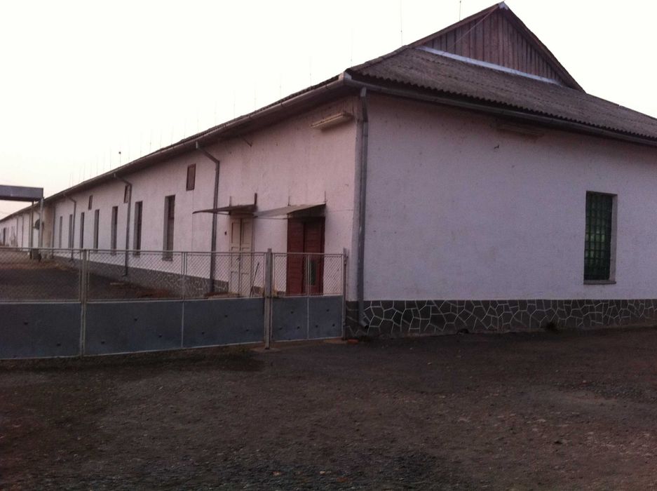 Комерційне приміщення 1200 кв м с.Батрадь