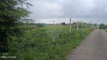 Terreno  para venda