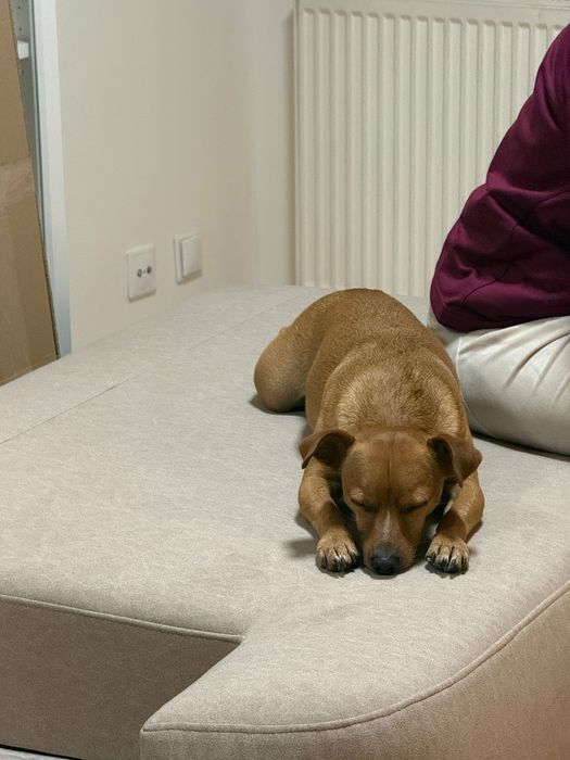 3 sztuki przesuwnych drzwi do szafy z lustrem