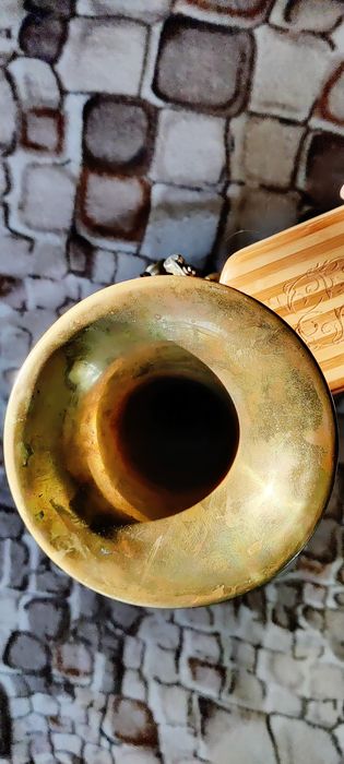 Духова труба ленінградська