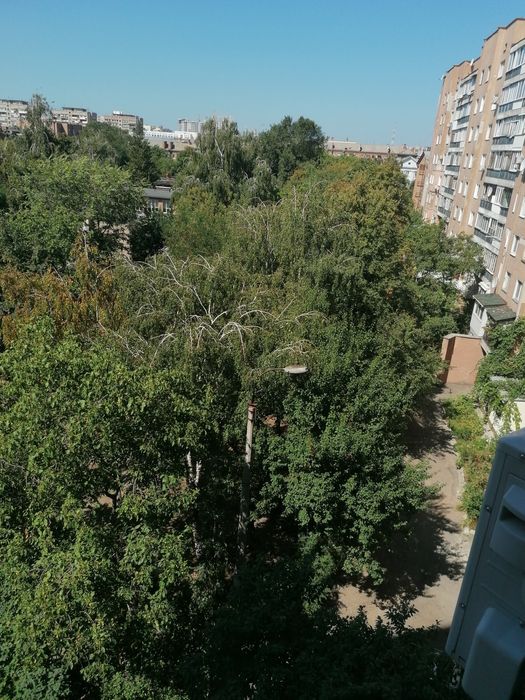 1к кв напротив Макдональдса, свет есть,посуточно, почасово