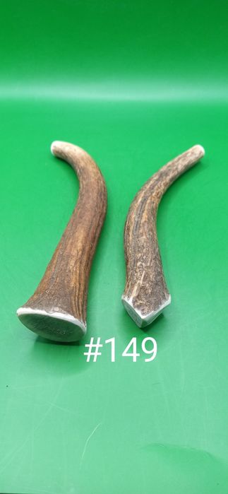 Gryzaki z poroża jelenia L dwie sztuki #149