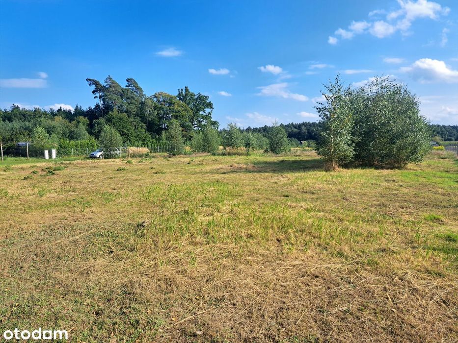 Działka budowlana 1000 m² - Wąsowo – tuż przy lesie!