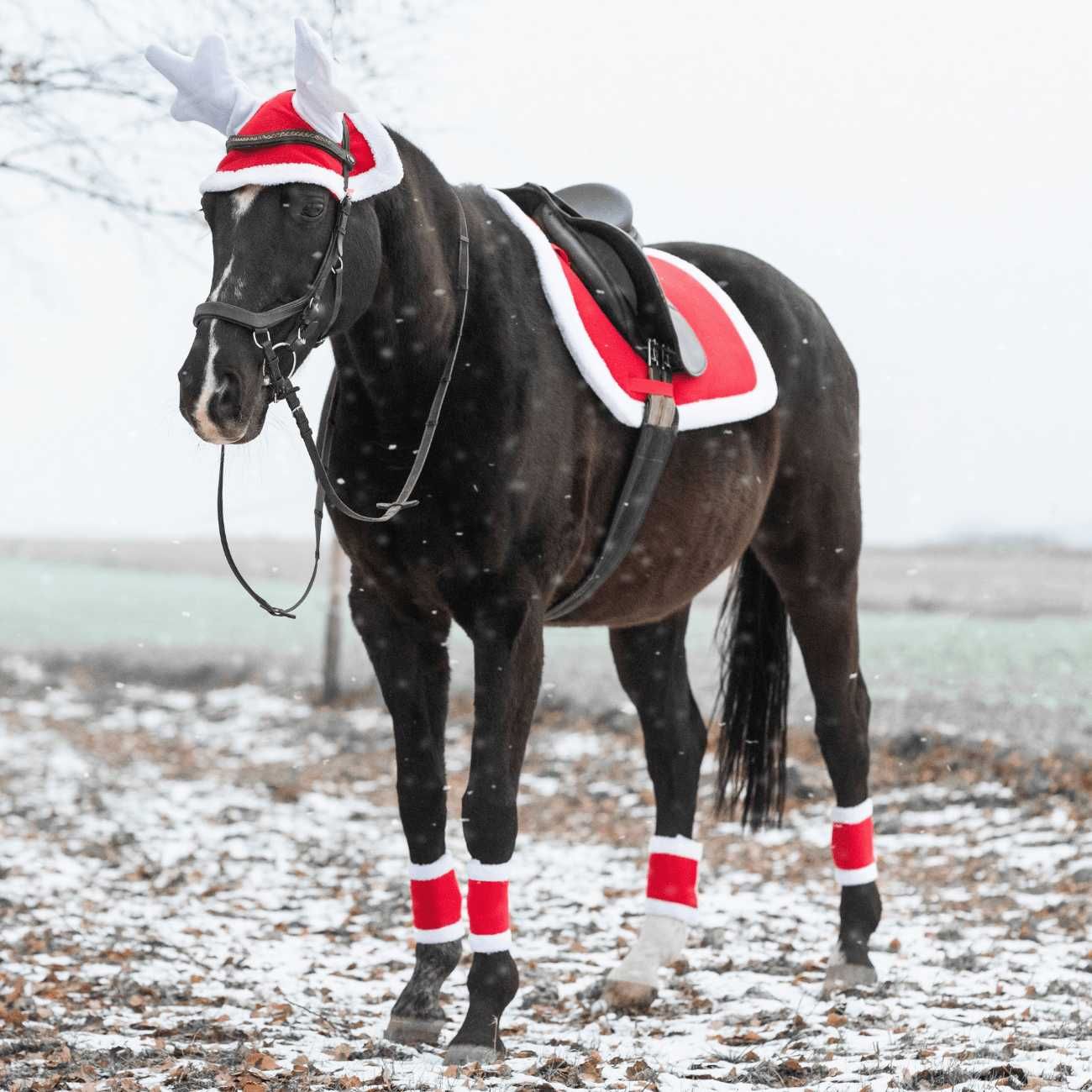 Zestaw York świąteczny czaprak nauszniki Renifer owijki Pony