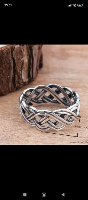 Sygnet męski gniazdo 2023/2024.  n40