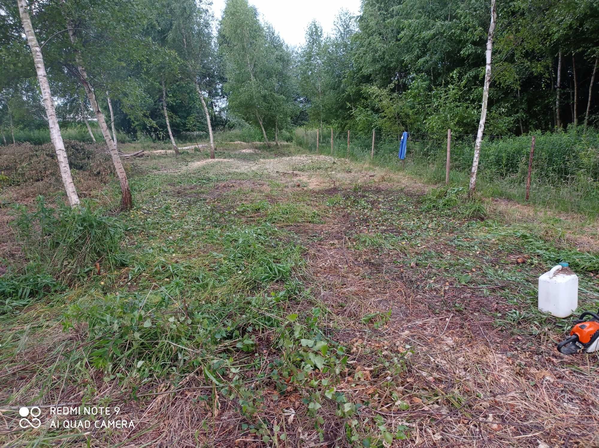 Rębak mielenie gałęzi karczowanie działek usługi rębakiem Ścinka drzew