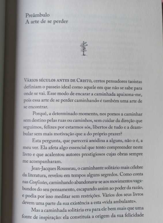 A Sociedade Muito Secreta dos Caminhantes Solitários - Rémy Oudghiri