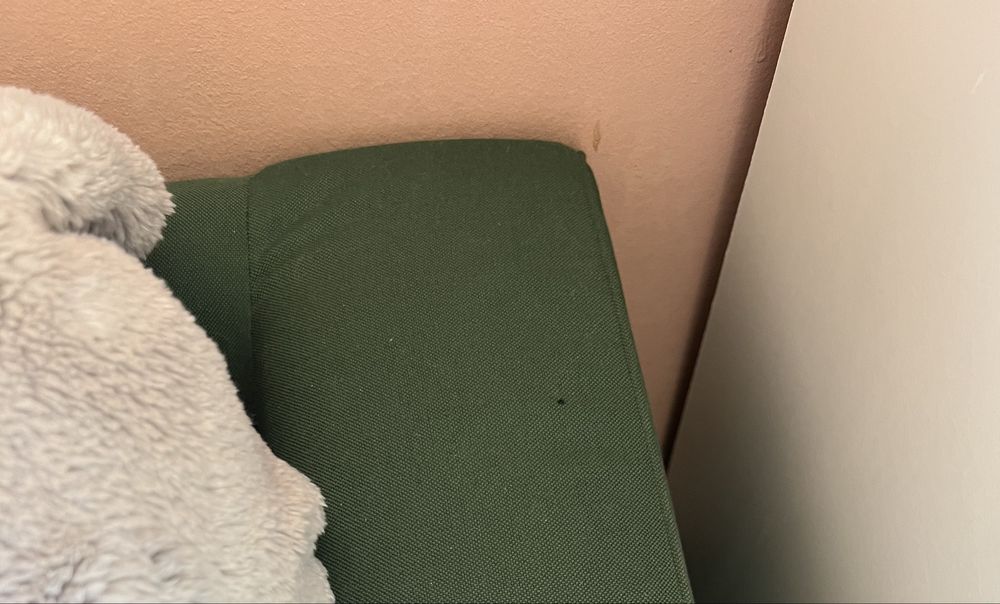 Kanapa sofa IKEA Parup dwuosobowa zielona