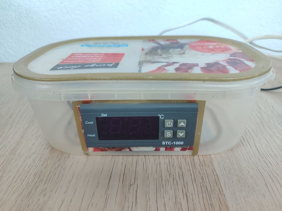 Incubadora artesanal estéril