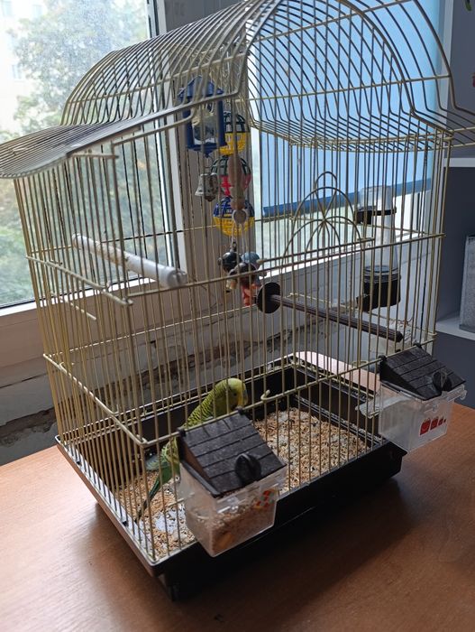 Велика клітка для пташок