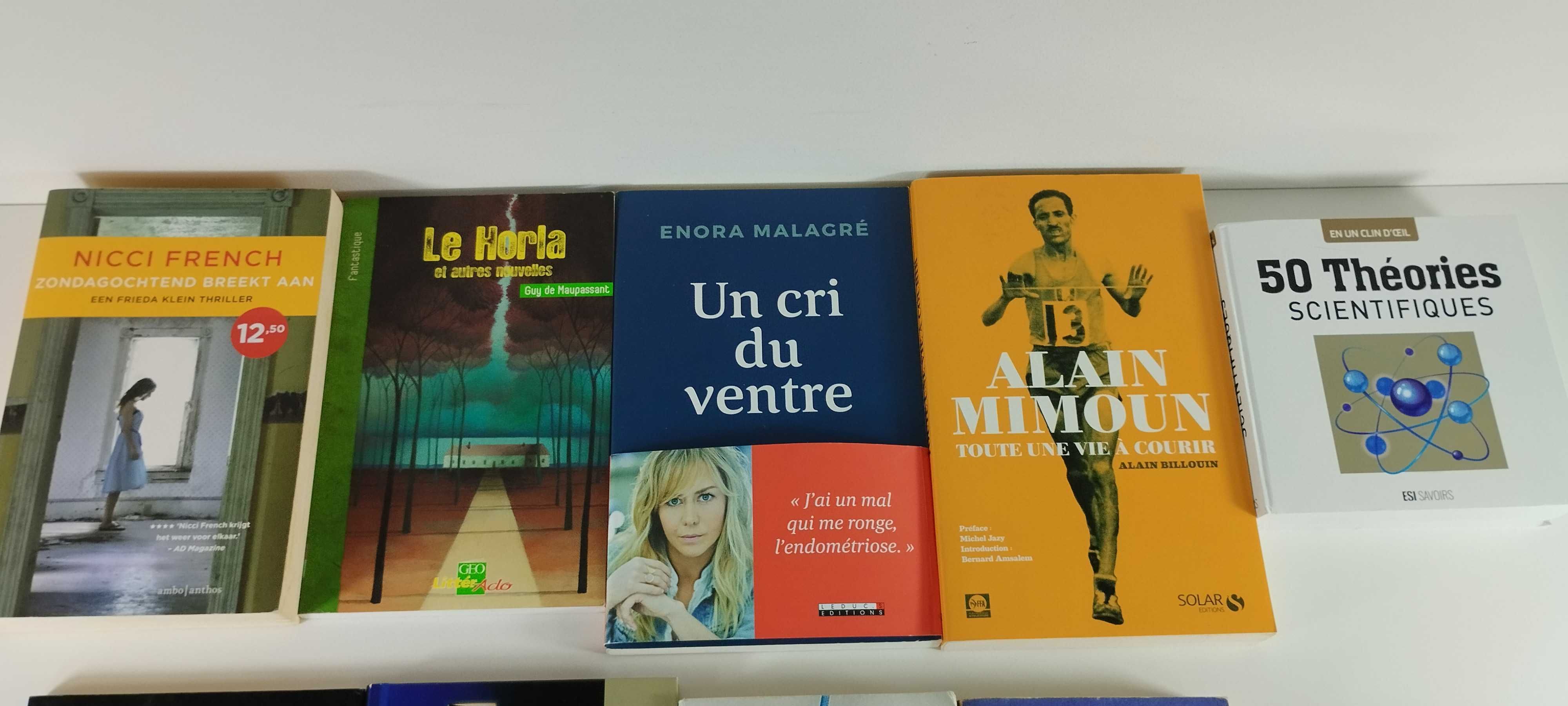 Lote 10 Livros Variados de Diferentes Línguas