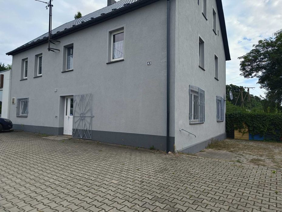 lokal usługowo - handlowy do wynajęcia