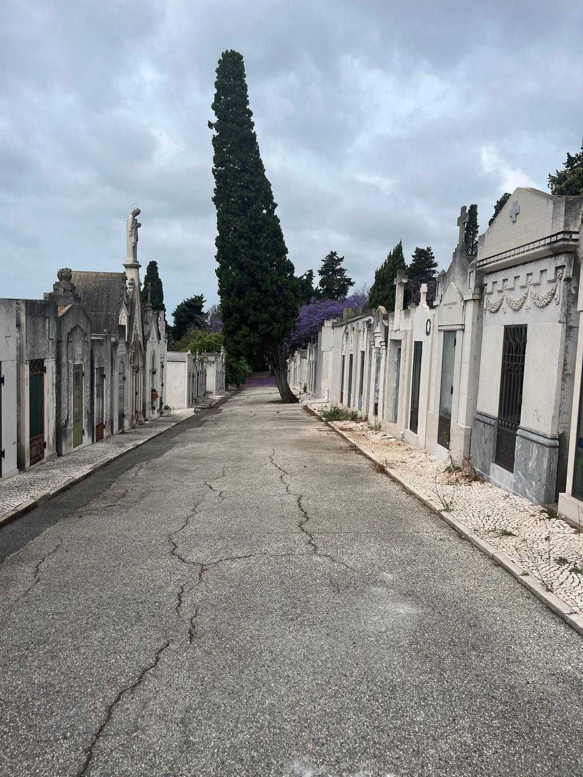 Jazigo Particular–8 lugares–Cemitério dos Prazeres, Lisboa-Novo Preço