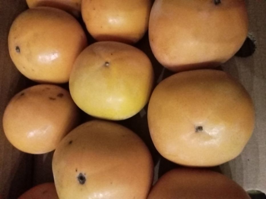 Vende-se dióspiros-maçã