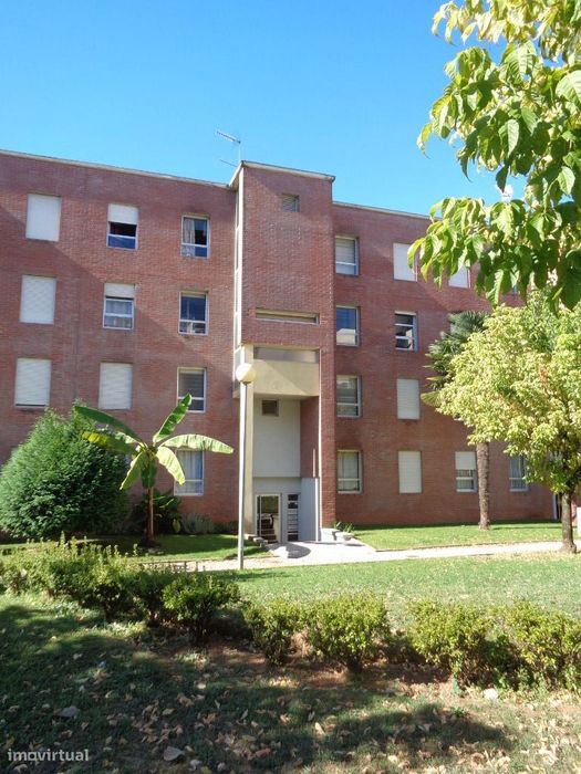 T2 Centro de São João da Madeira