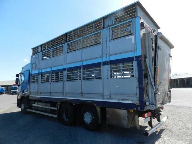 Do zwierzat do Bydla RENAULT T430 05/2016 zabudowa PEZZAIOLI