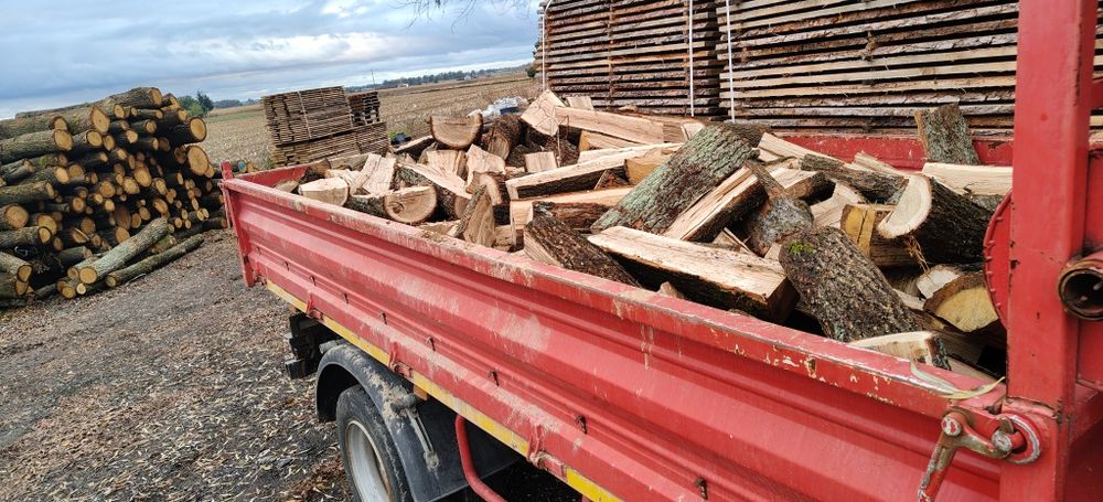 Drewno kominkowe dębowe