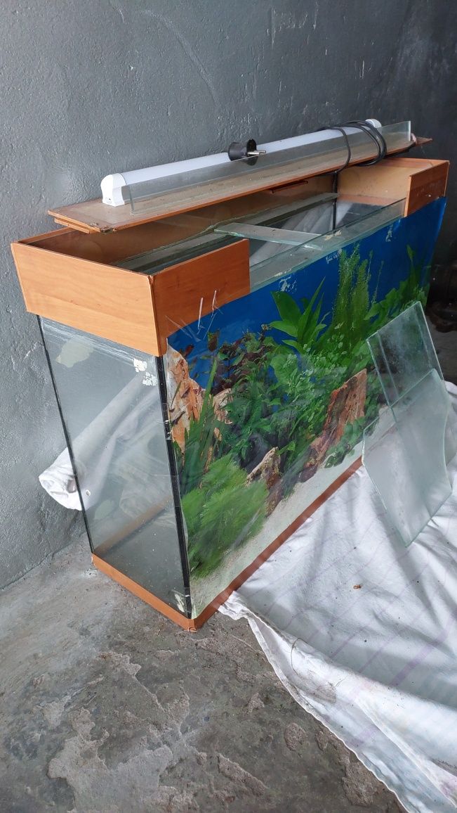 Продам  аквариум 730*520*230