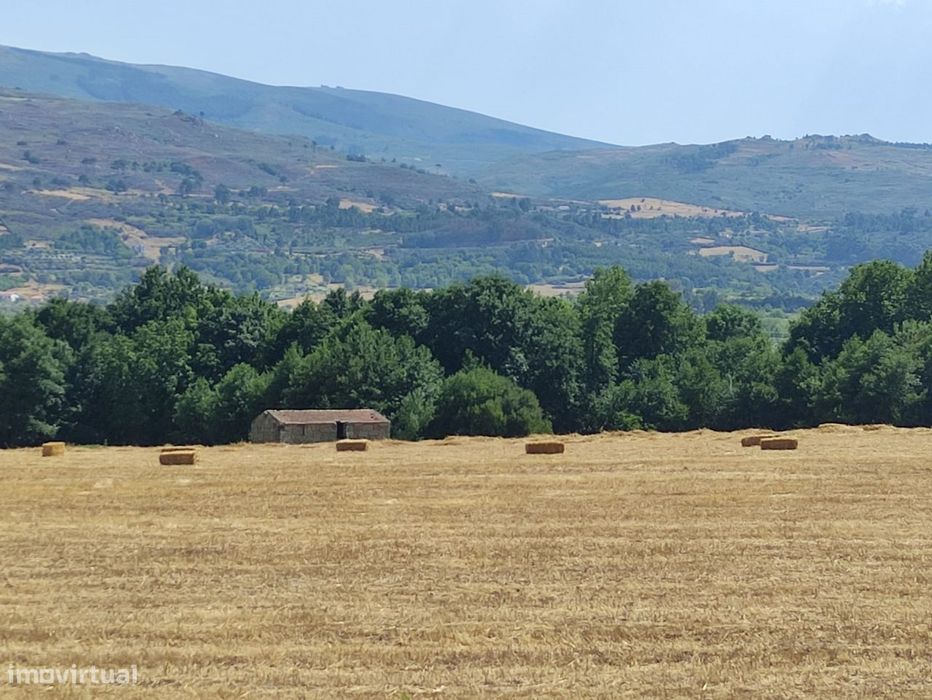 Quinta  Venda em Melo e Nabais,Gouveia