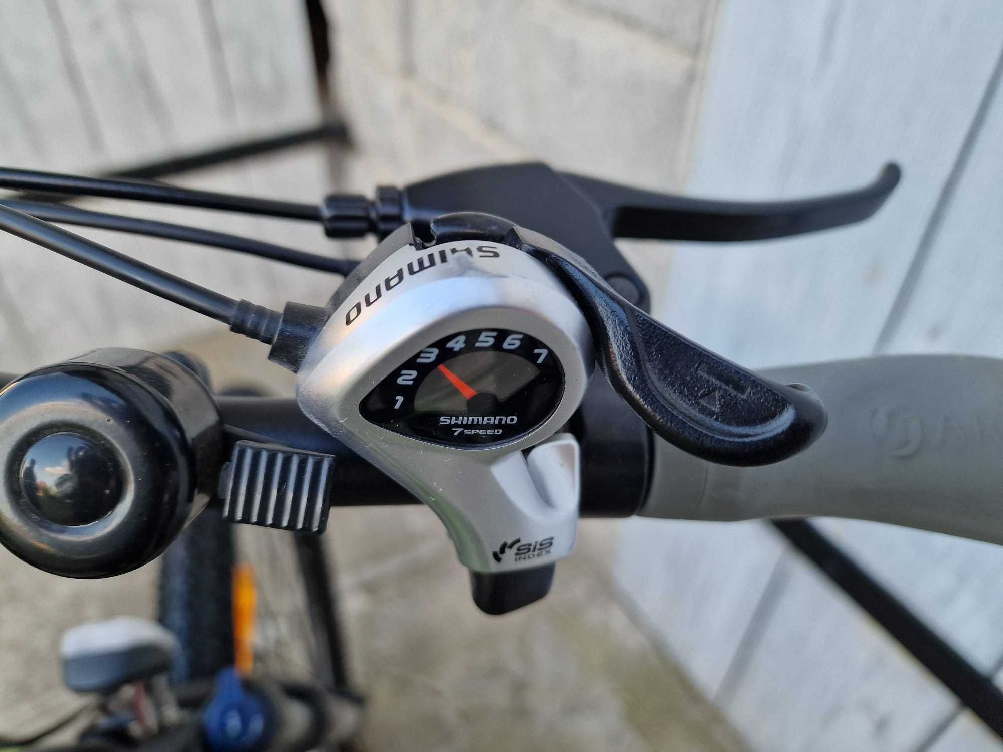 Argento Unisex - Rower elektryczny dla dorosłych, czarno-zielony